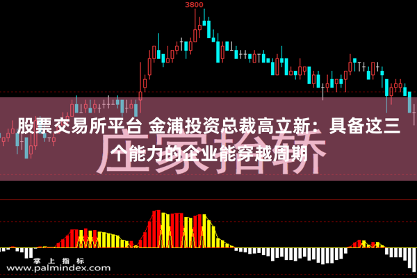 股票交易所平台 金浦投资总裁高立新：具备这三个能力的企业能穿越周期