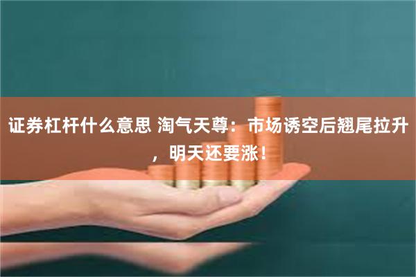 证券杠杆什么意思 淘气天尊：市场诱空后翘尾拉升，明天还要涨！