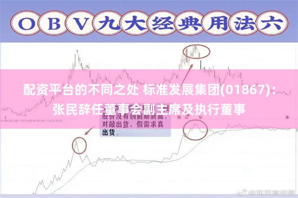 配资平台的不同之处 标准发展集团(01867)：张民辞任董事会副主席及执行董事