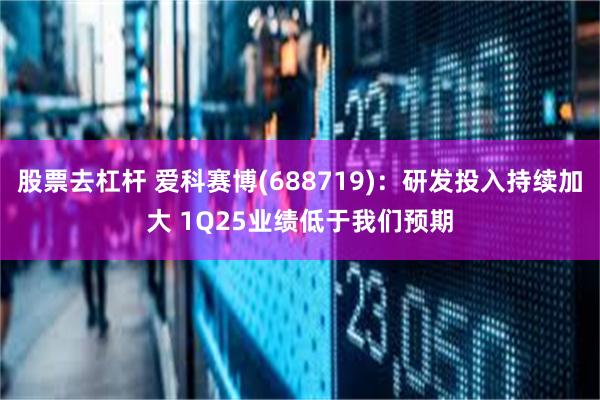 股票去杠杆 爱科赛博(688719)：研发投入持续加大 1Q25业绩低于我们预期