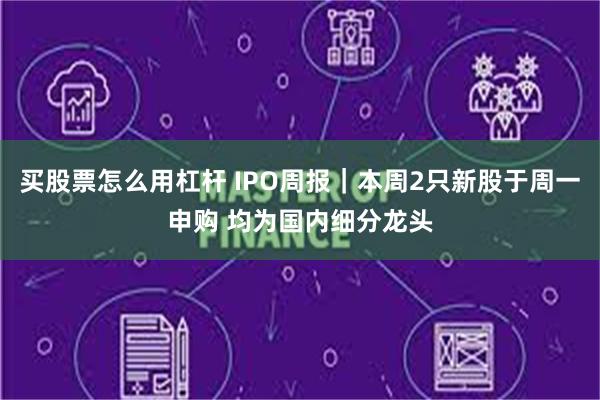 买股票怎么用杠杆 IPO周报｜本周2只新股于周一申购 均为国内细分龙头