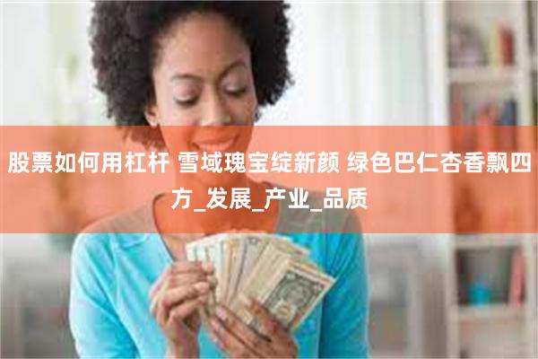 股票如何用杠杆 雪域瑰宝绽新颜 绿色巴仁杏香飘四方_发展_产业_品质
