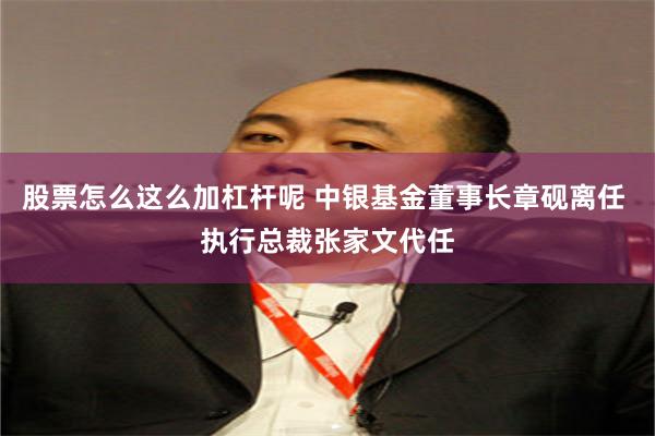 股票怎么这么加杠杆呢 中银基金董事长章砚离任 执行总裁张家文代任