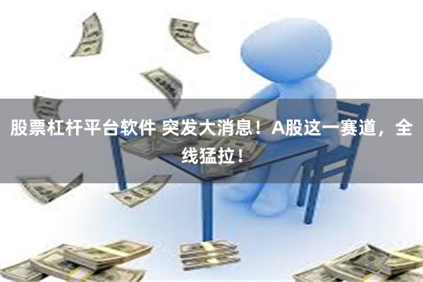 股票杠杆平台软件 突发大消息！A股这一赛道，全线猛拉！